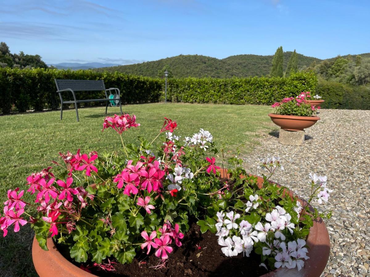 Tenuta Montemassi Podere Montauzzo Екстериор снимка