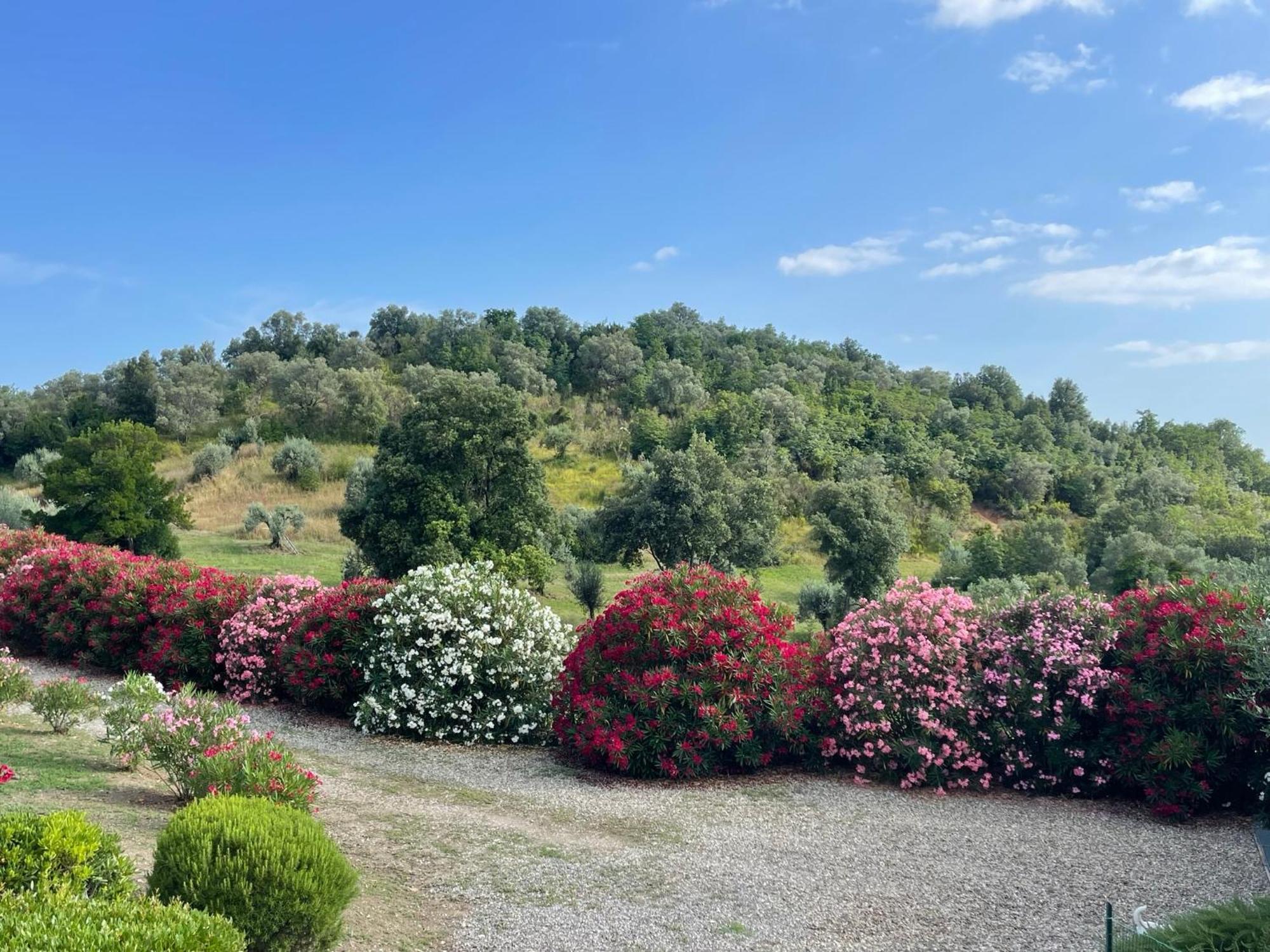 Tenuta Montemassi Podere Montauzzo Екстериор снимка